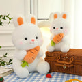 Plush Rabbit (22cm)