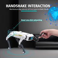 Smart AI Dog Multifunctional Toy ©